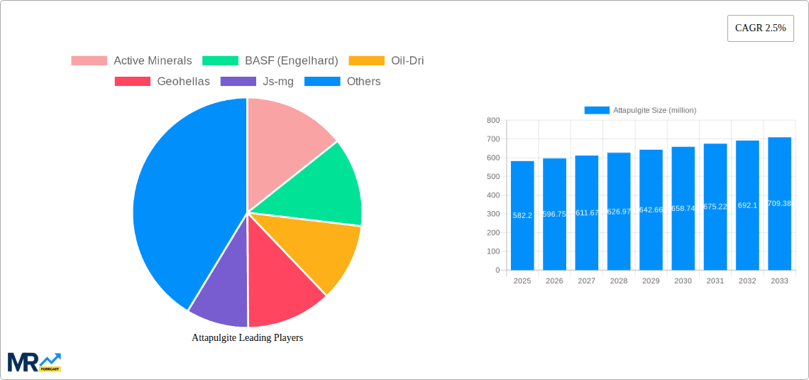 Attapulgite Research Report - Market Overview and Key Insights