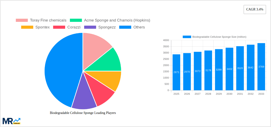 Biodegradable Cellulose Sponge Research Report - Market Overview and Key Insights