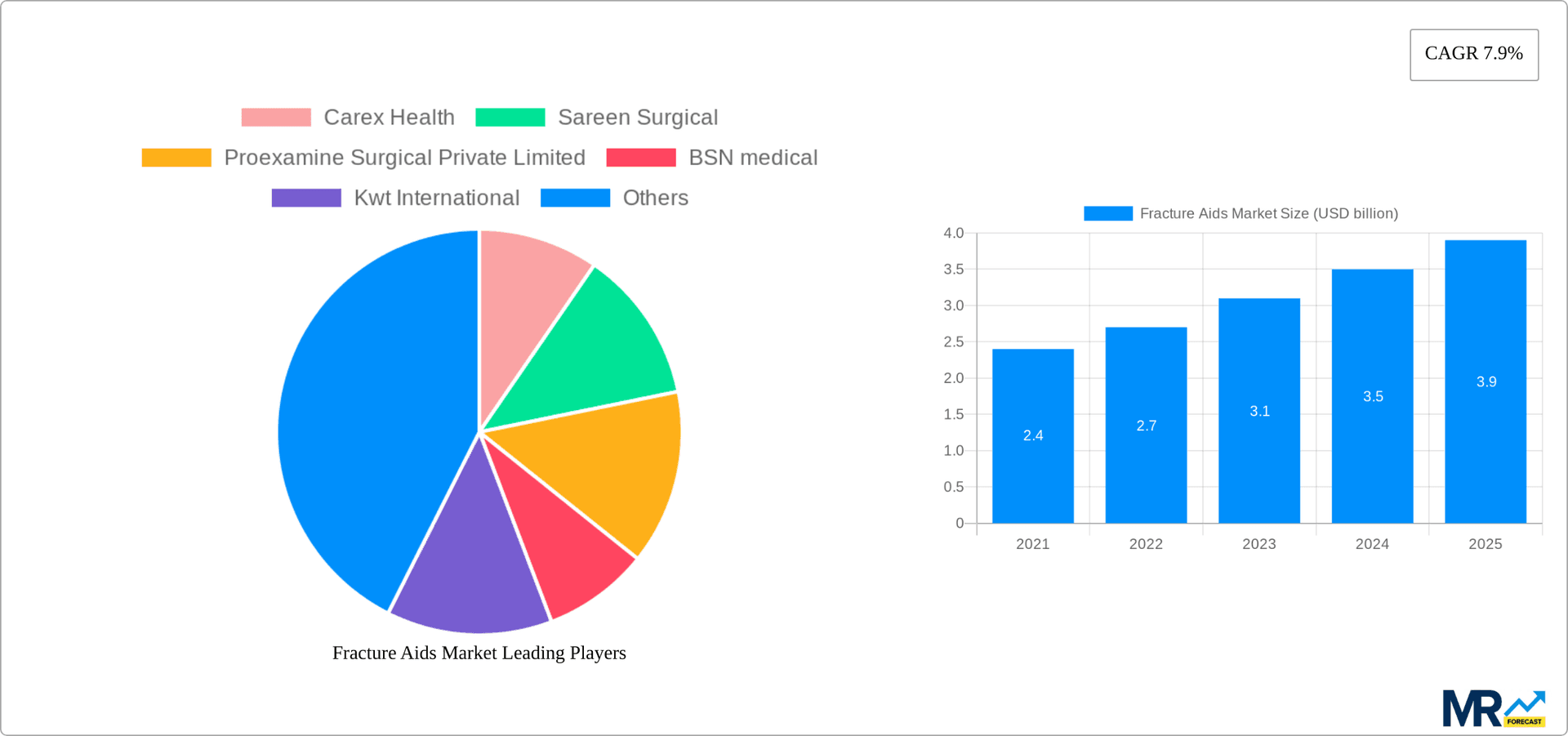 Fracture Aids Market Research Report - Market Overview and Key Insights