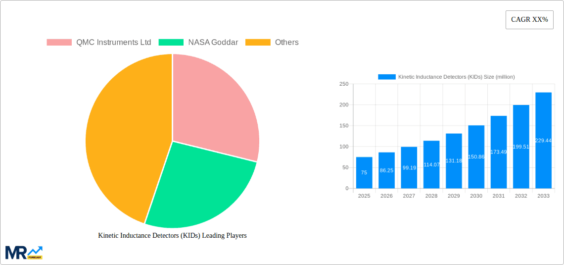 Kinetic Inductance Detectors (KIDs) Research Report - Market Overview and Key Insights