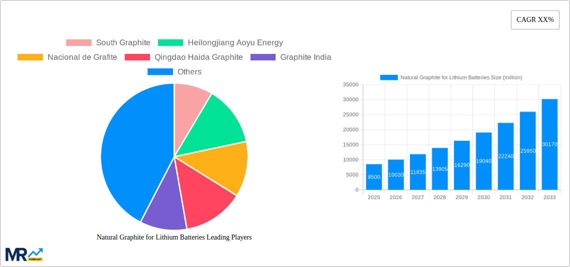 Natural Graphite for Lithium Batteries Research Report - Market Overview and Key Insights