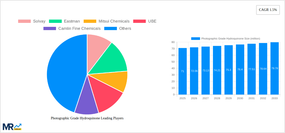 Photographic Grade Hydroquinone Research Report - Market Overview and Key Insights