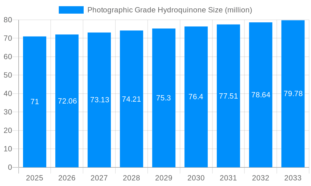 Photographic Grade Hydroquinone Market Size and Forecast (2024-2030)
