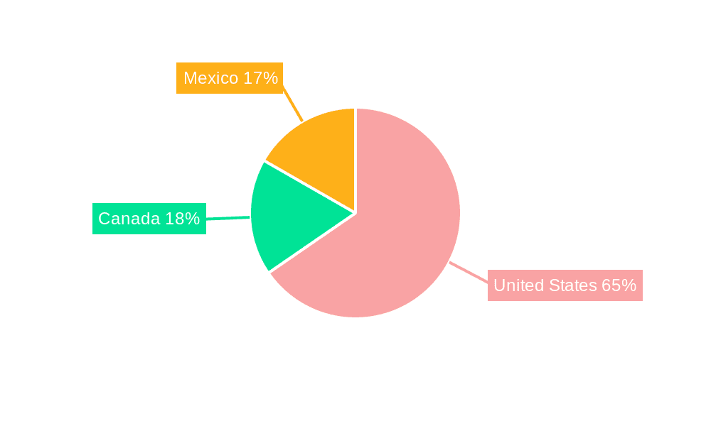 North America Hand Sanitizer Market Market Share by Region - Global Geographic Distribution