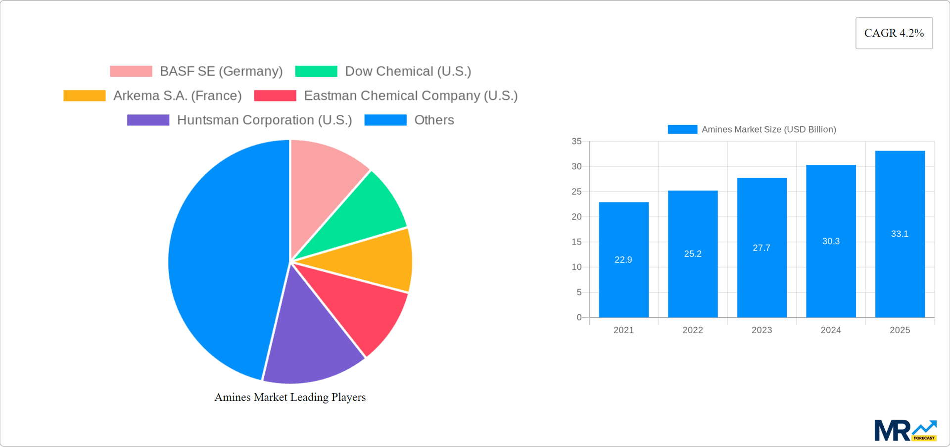 Amines Market Research Report - Market Overview and Key Insights