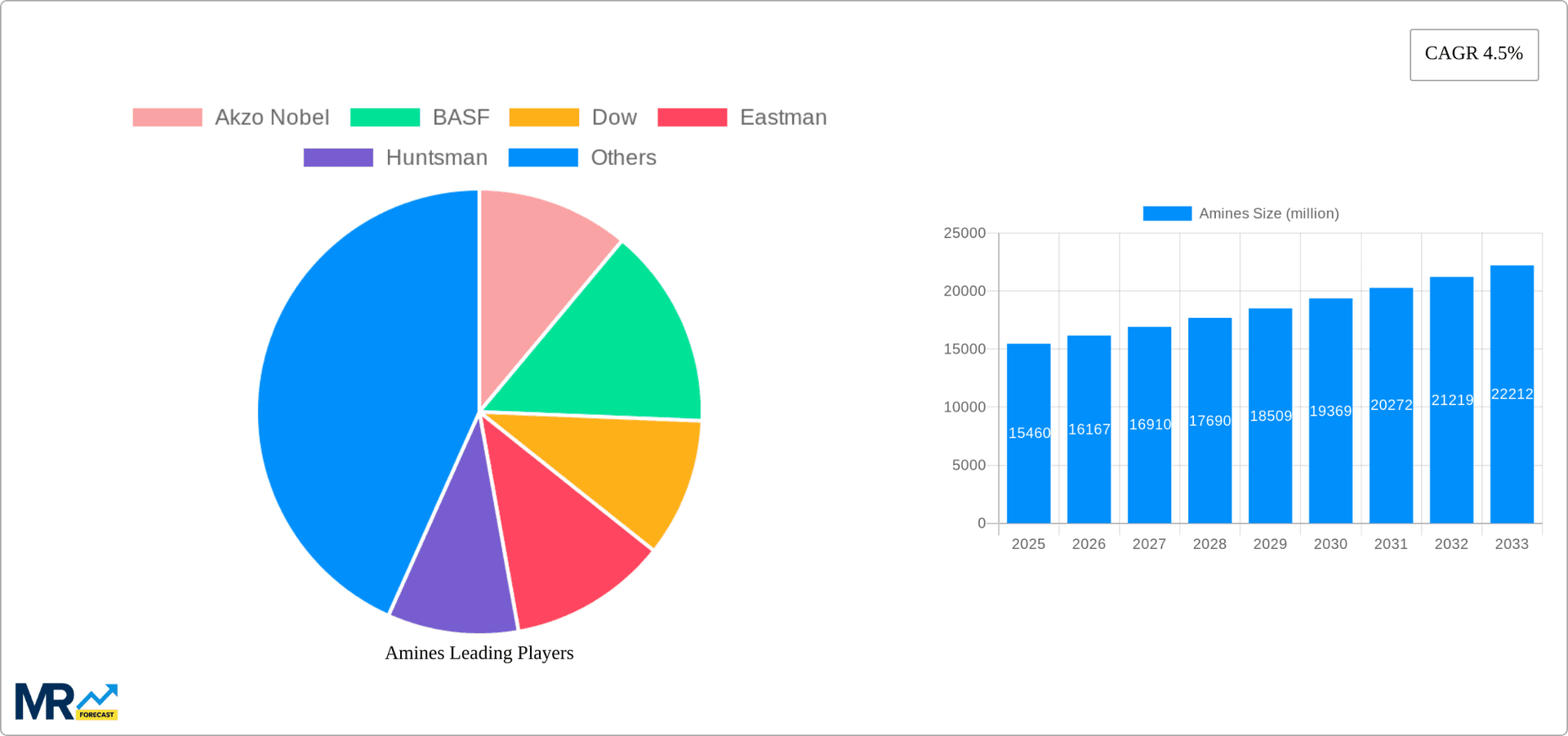 Amines Research Report - Market Overview and Key Insights
