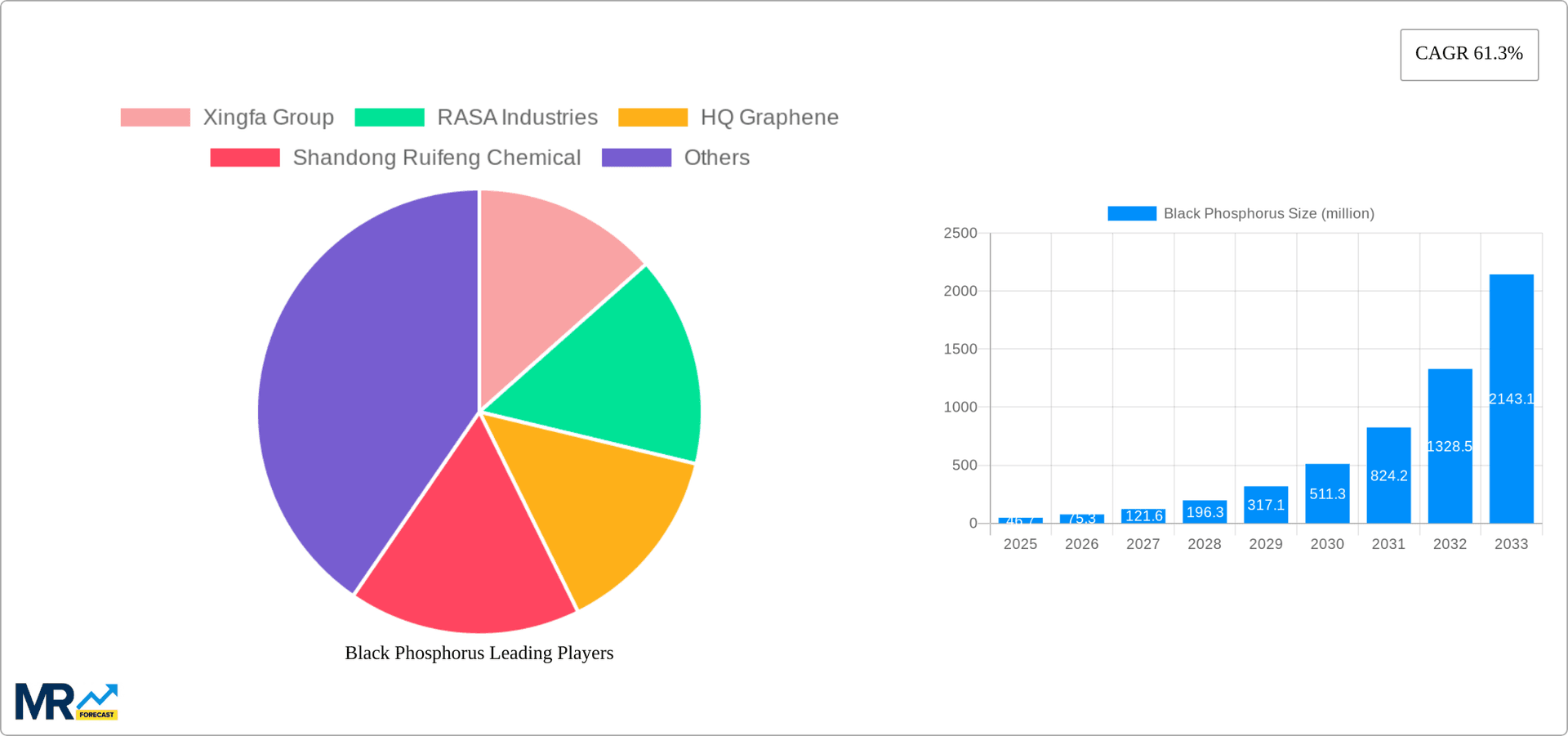 Black Phosphorus Research Report - Market Overview and Key Insights