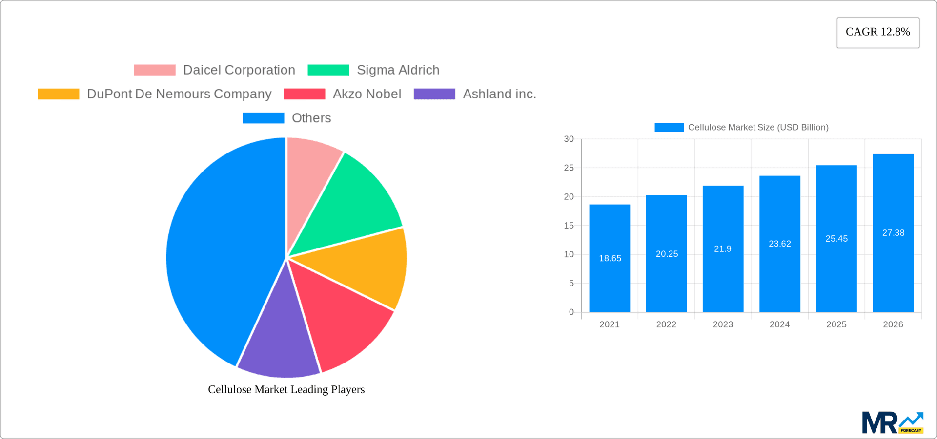 Cellulose Market Research Report - Market Overview and Key Insights