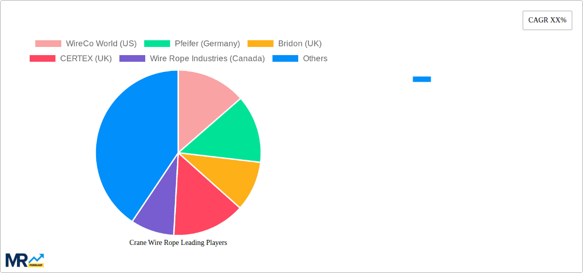 Crane Wire Rope Research Report - Market Overview and Key Insights