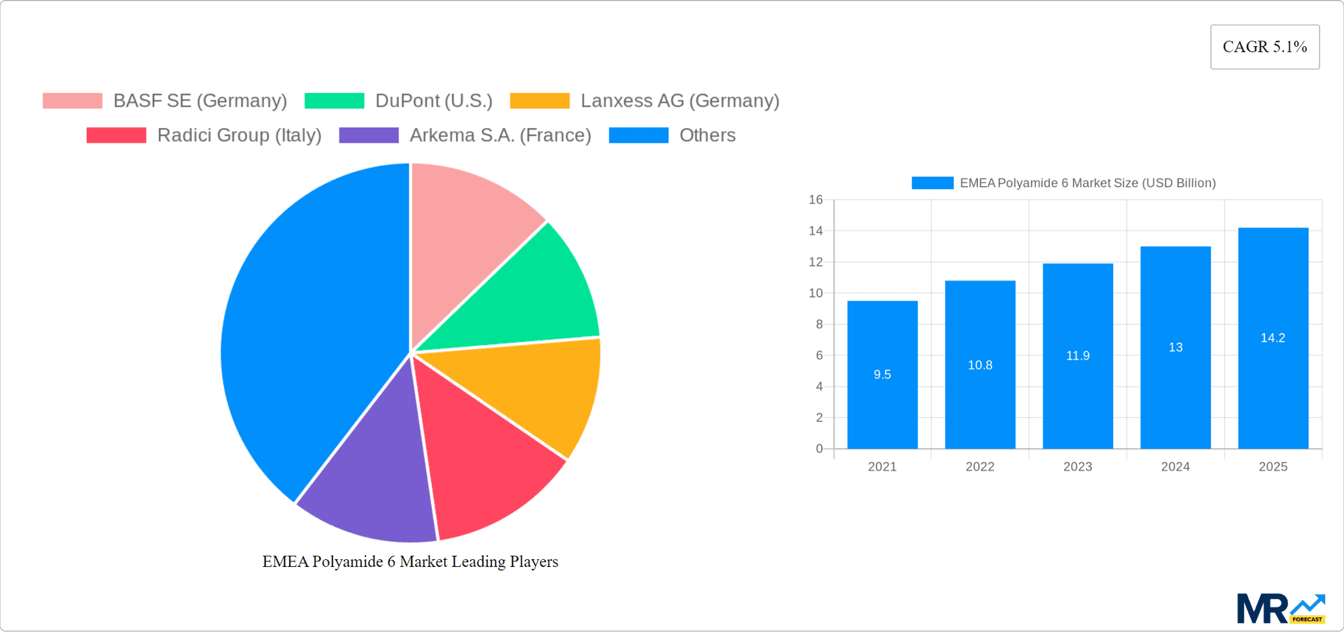 EMEA Polyamide 6 Market Research Report - Market Overview and Key Insights