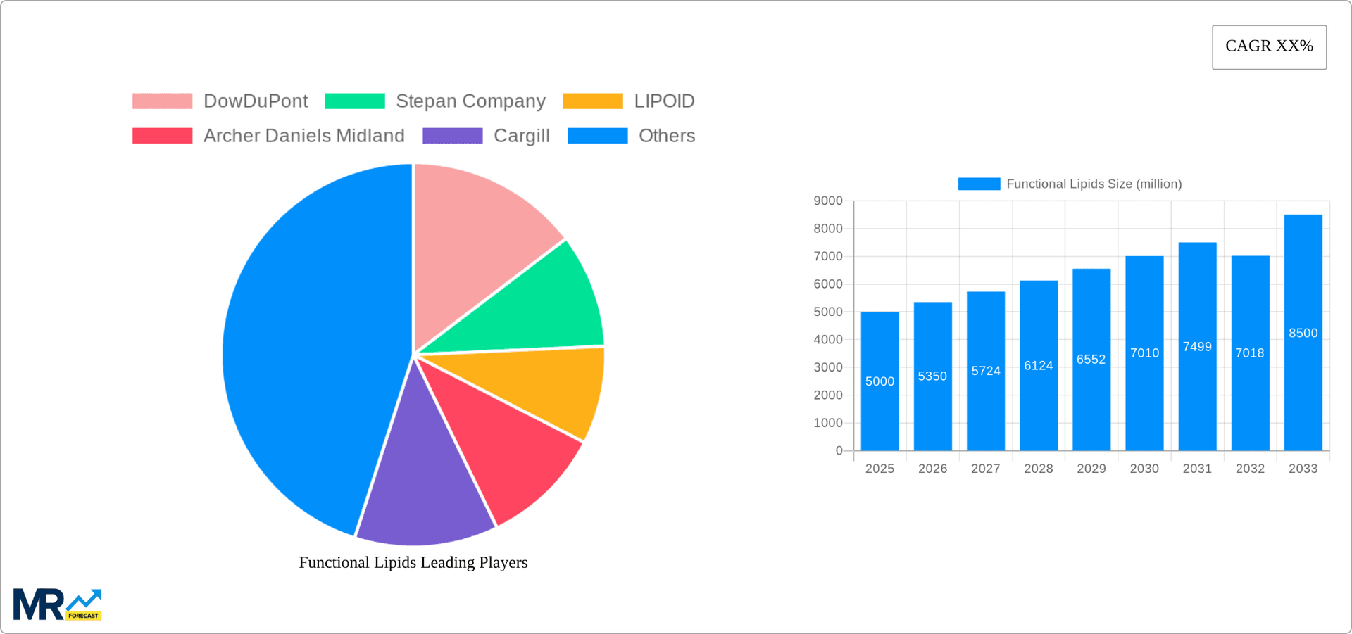 Functional Lipids Research Report - Market Overview and Key Insights