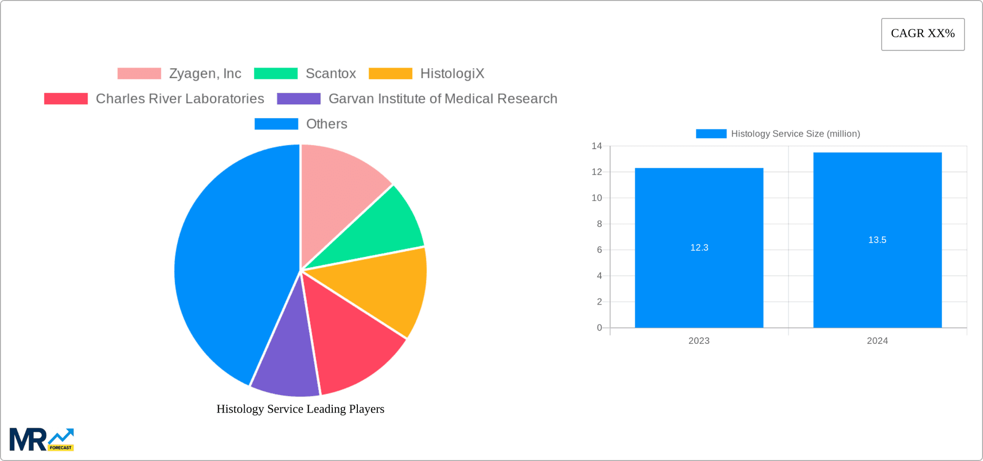 Histology Service Research Report - Market Overview and Key Insights
