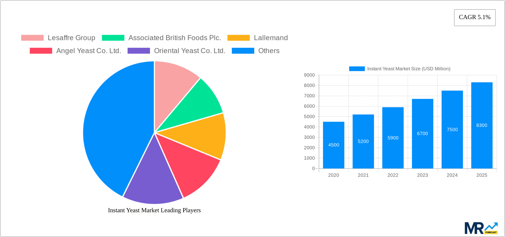 Instant Yeast Market Research Report - Market Overview and Key Insights