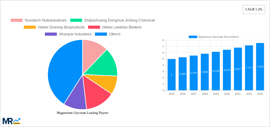 Magnesium Glycinate Research Report - Market Overview and Key Insights