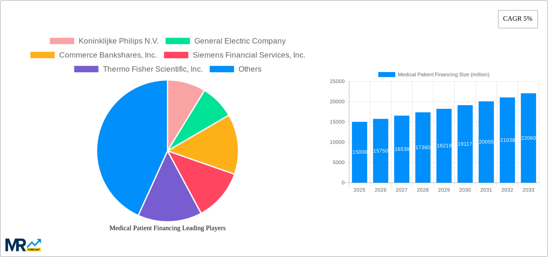 Medical Patient Financing Research Report - Market Overview and Key Insights