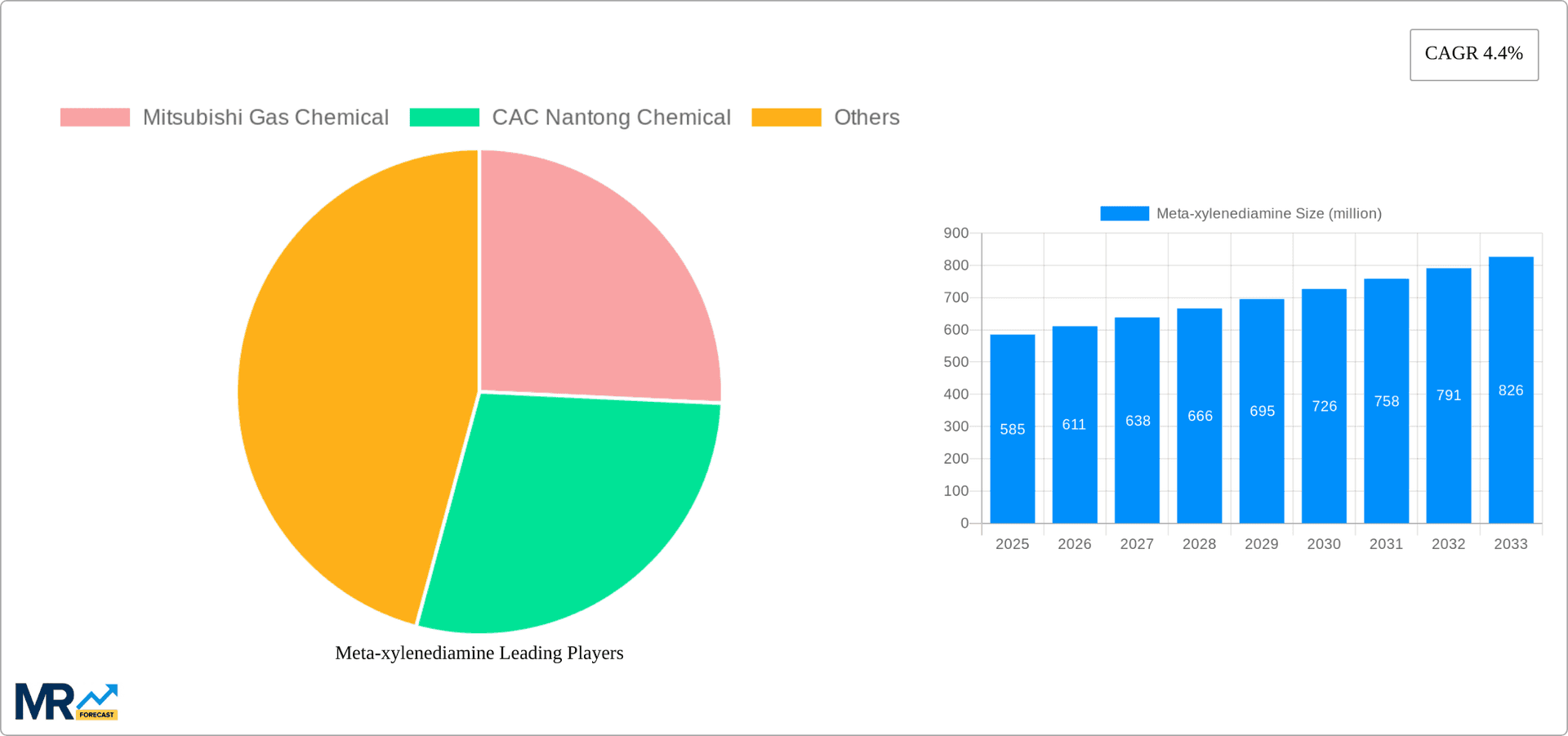 Meta-xylenediamine Research Report - Market Overview and Key Insights
