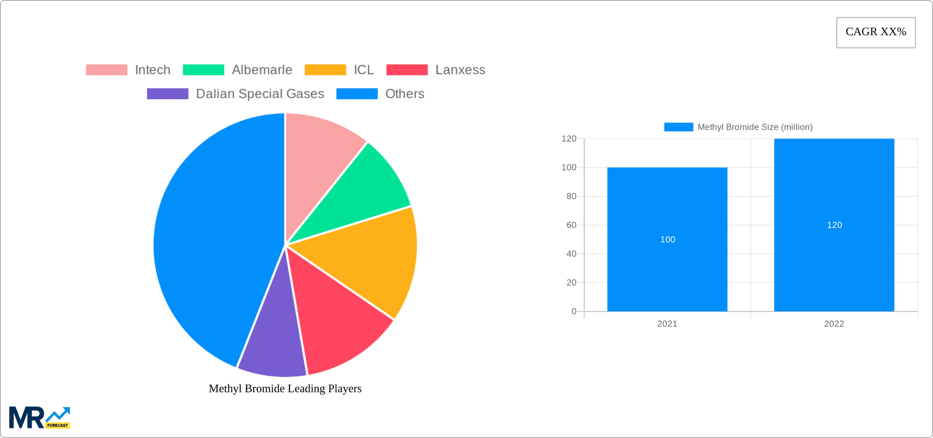 Methyl Bromide Research Report - Market Overview and Key Insights