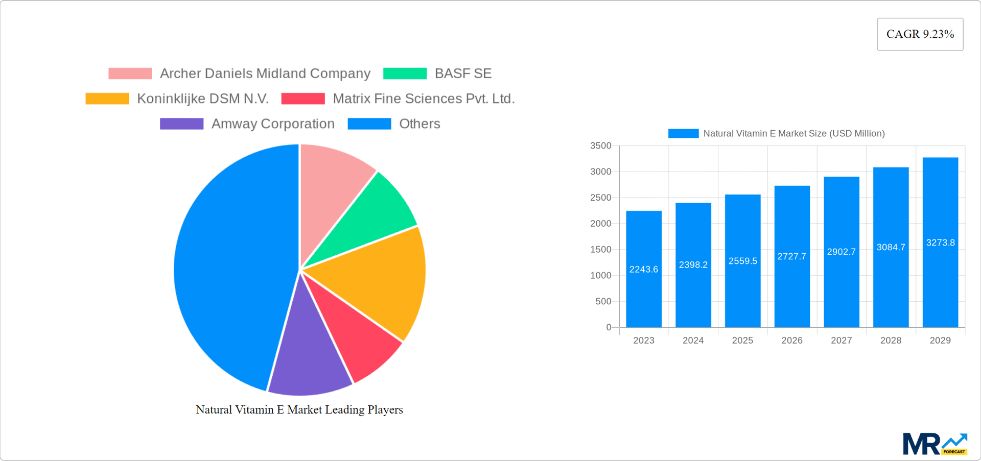 Natural Vitamin E Market Research Report - Market Overview and Key Insights
