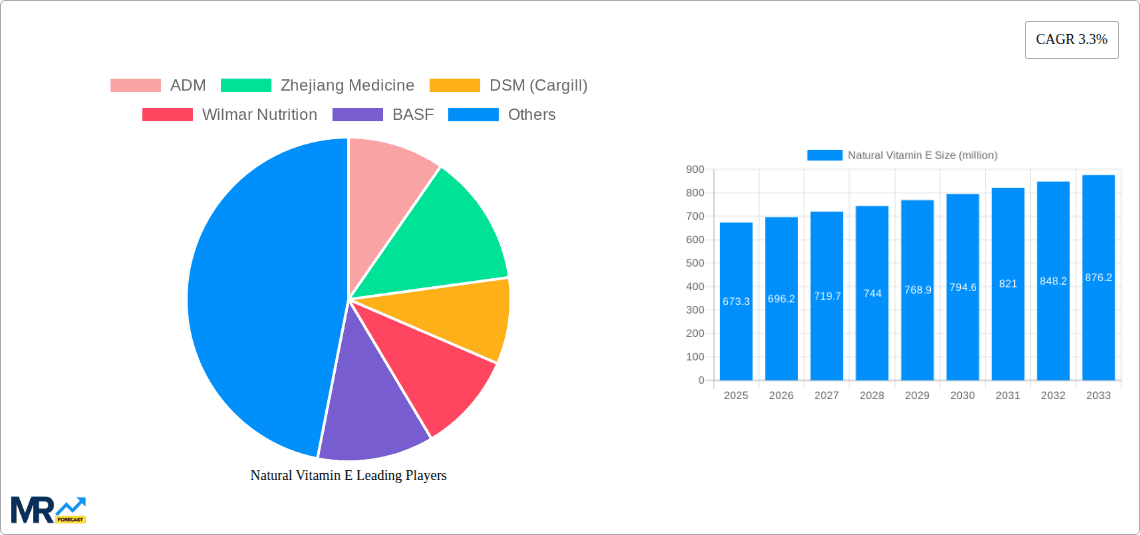 Natural Vitamin E Research Report - Market Overview and Key Insights