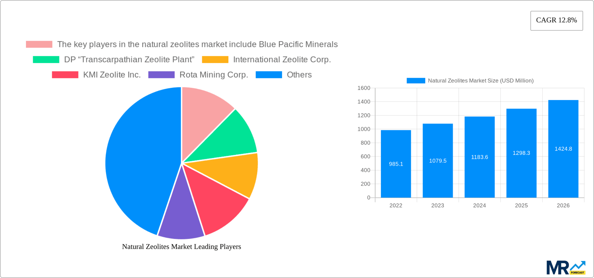 Natural Zeolites Market Research Report - Market Overview and Key Insights