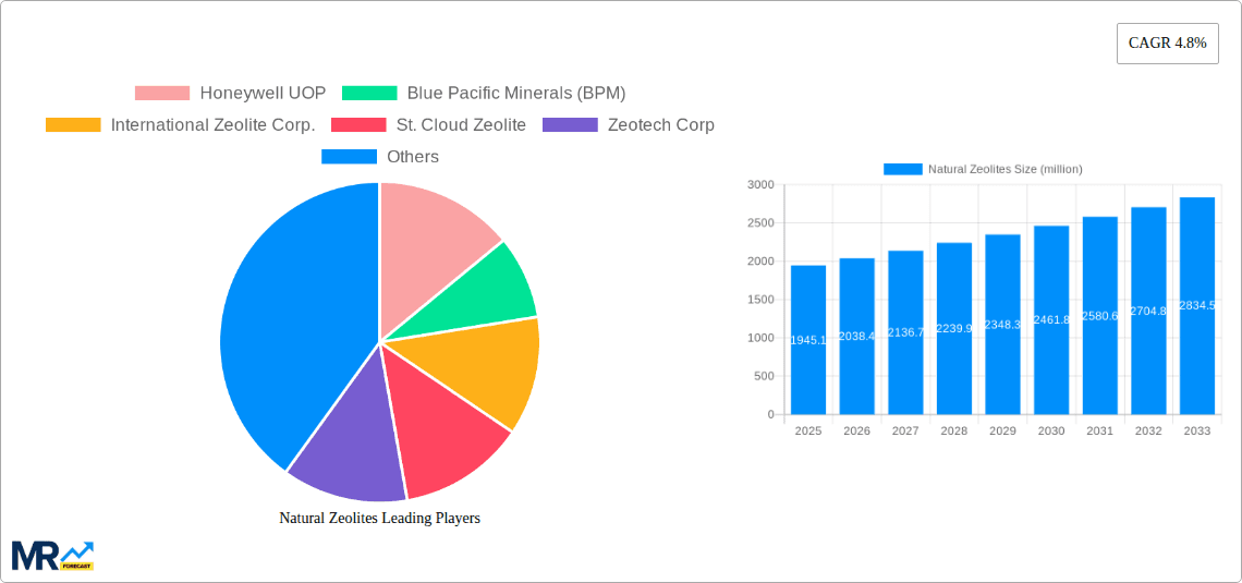 Natural Zeolites Research Report - Market Overview and Key Insights