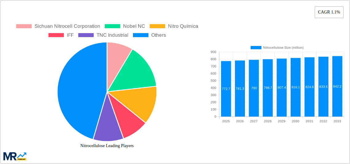 Nitrocellulose Research Report - Market Overview and Key Insights
