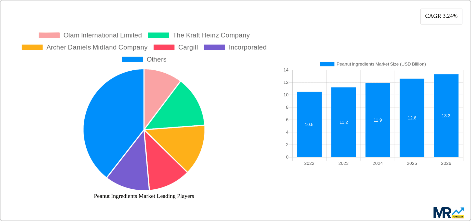 Peanut Ingredients Market Research Report - Market Overview and Key Insights