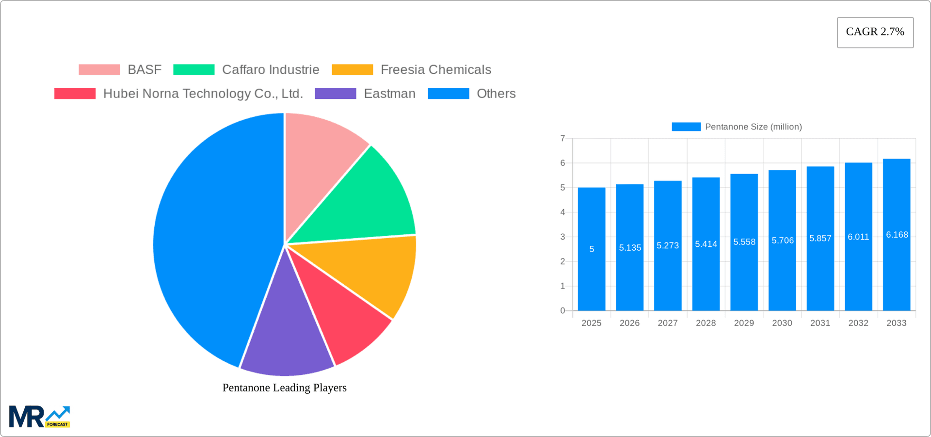 Pentanone Research Report - Market Overview and Key Insights