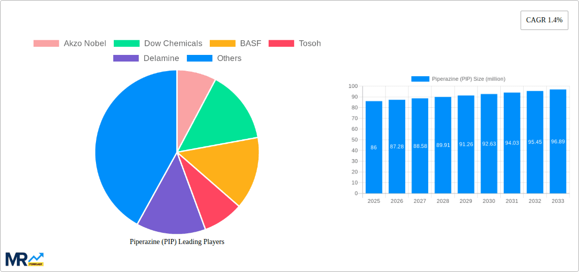 Piperazine (PIP) Research Report - Market Overview and Key Insights