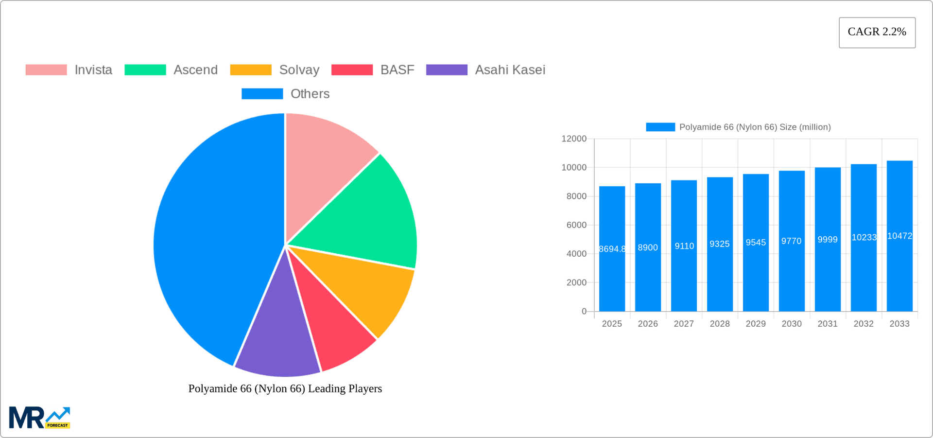 Polyamide 66 (Nylon 66) Research Report - Market Overview and Key Insights