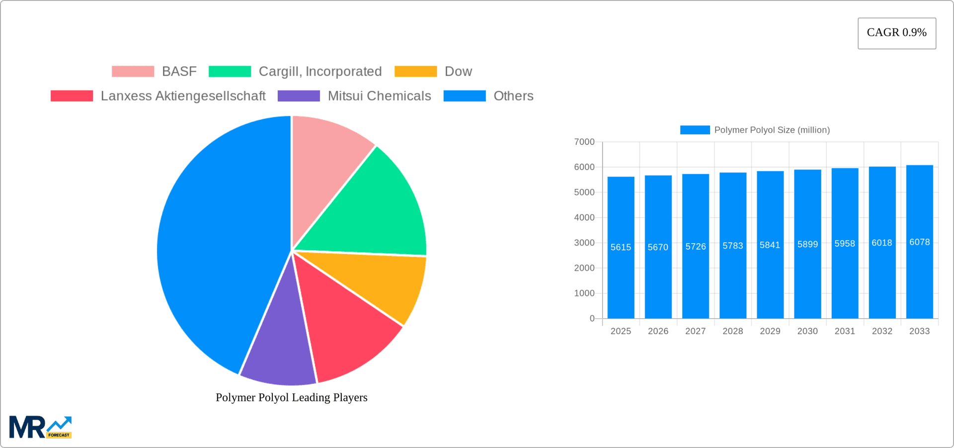 Polymer Polyol Research Report - Market Overview and Key Insights