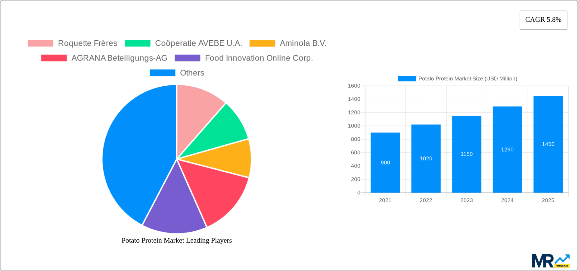 Potato Protein Market Research Report - Market Overview and Key Insights