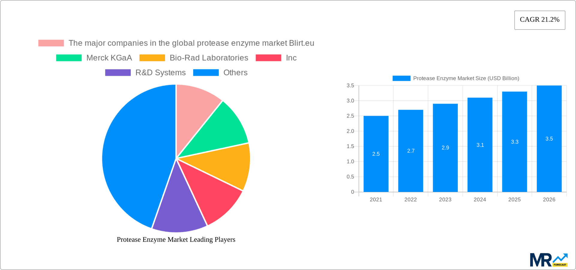 Protease Enzyme Market Research Report - Market Overview and Key Insights