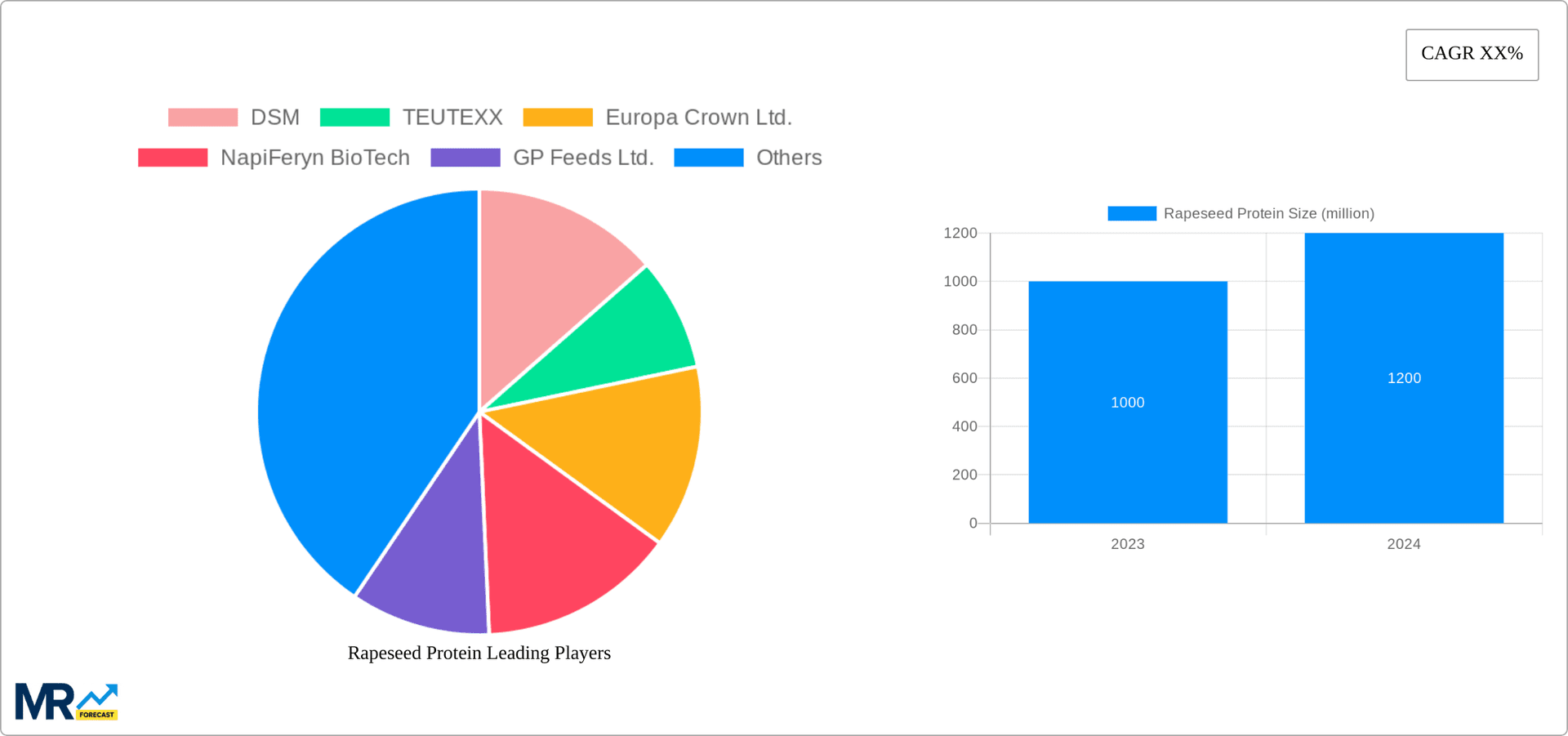 Rapeseed Protein Research Report - Market Overview and Key Insights