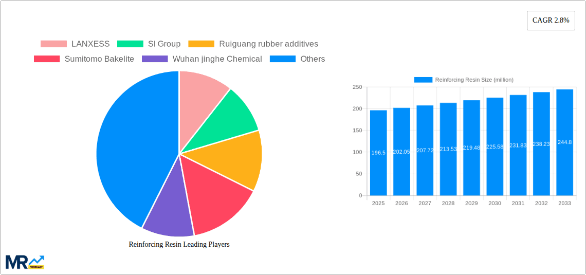 Reinforcing Resin Research Report - Market Overview and Key Insights