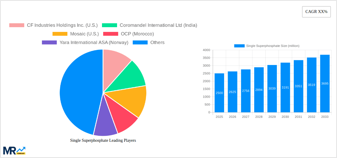 Single Superphosphate Research Report - Market Overview and Key Insights
