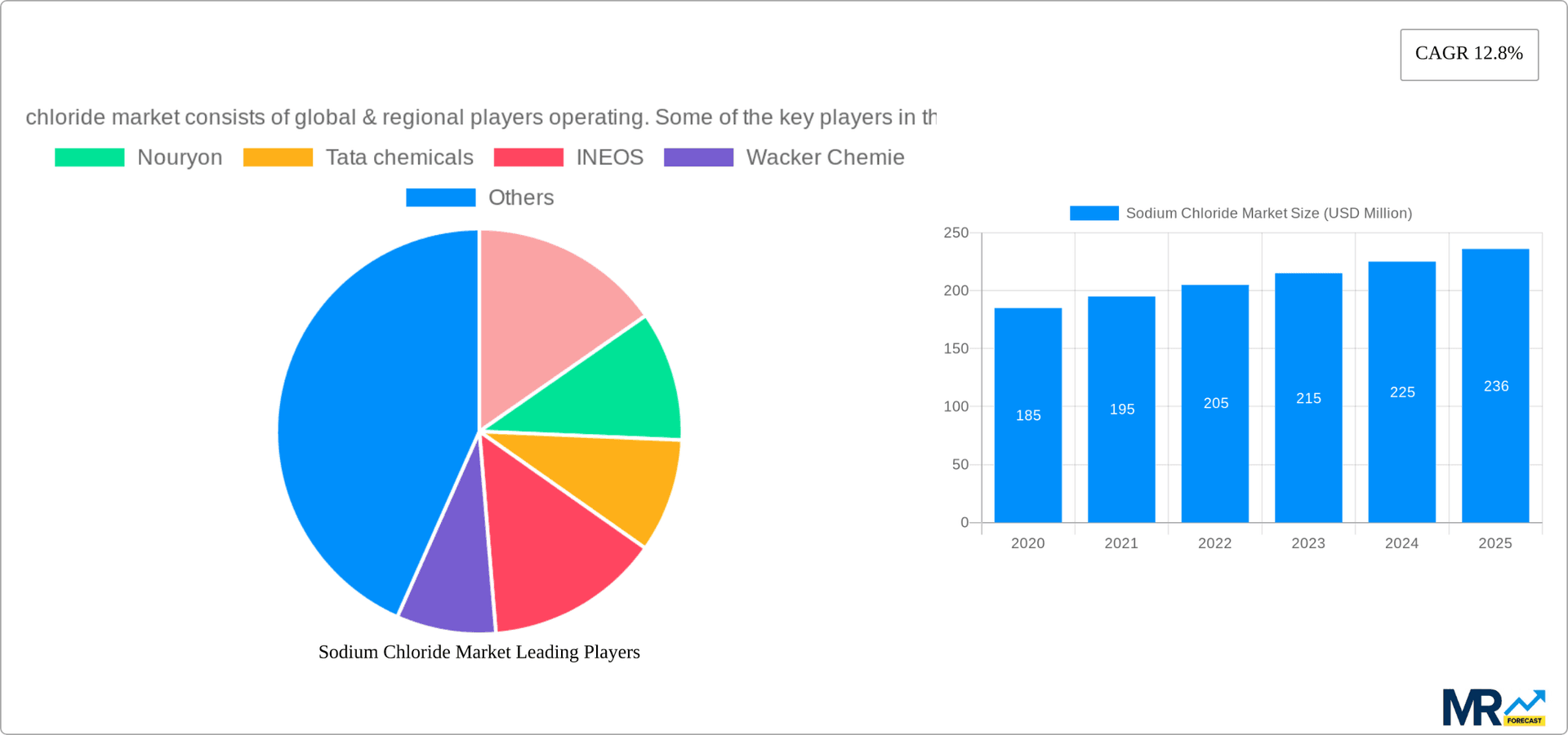 Sodium Chloride Market Research Report - Market Overview and Key Insights