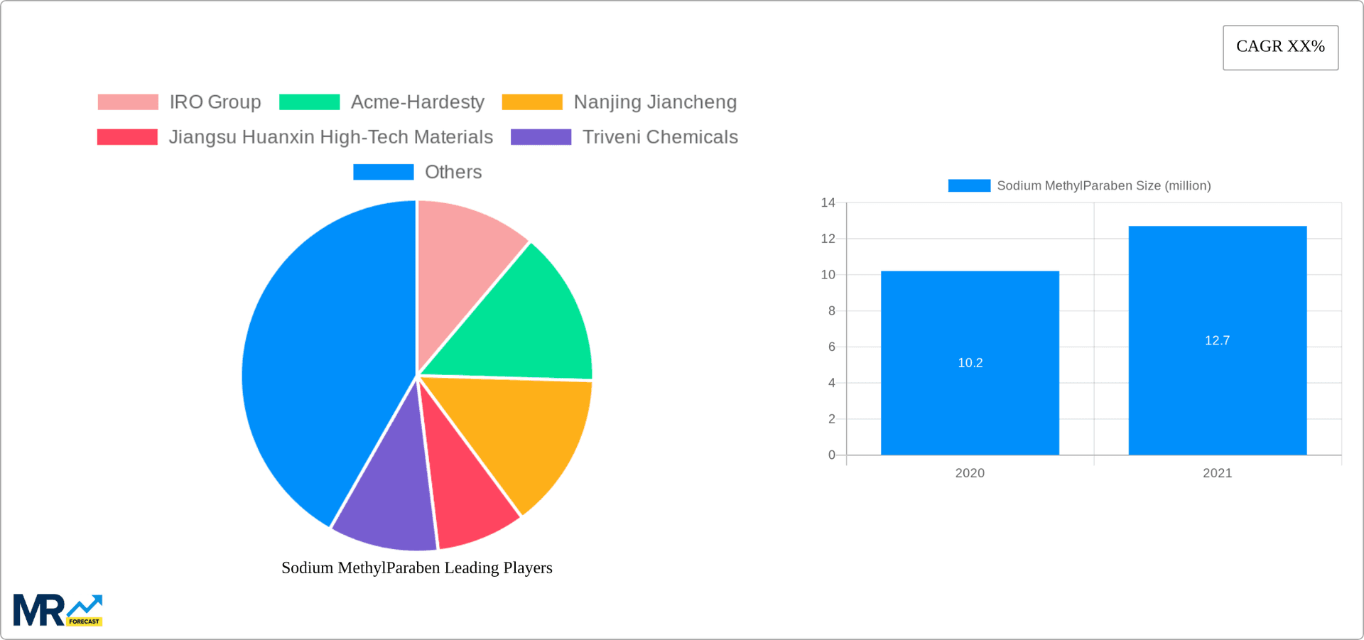 Sodium MethylParaben Research Report - Market Overview and Key Insights