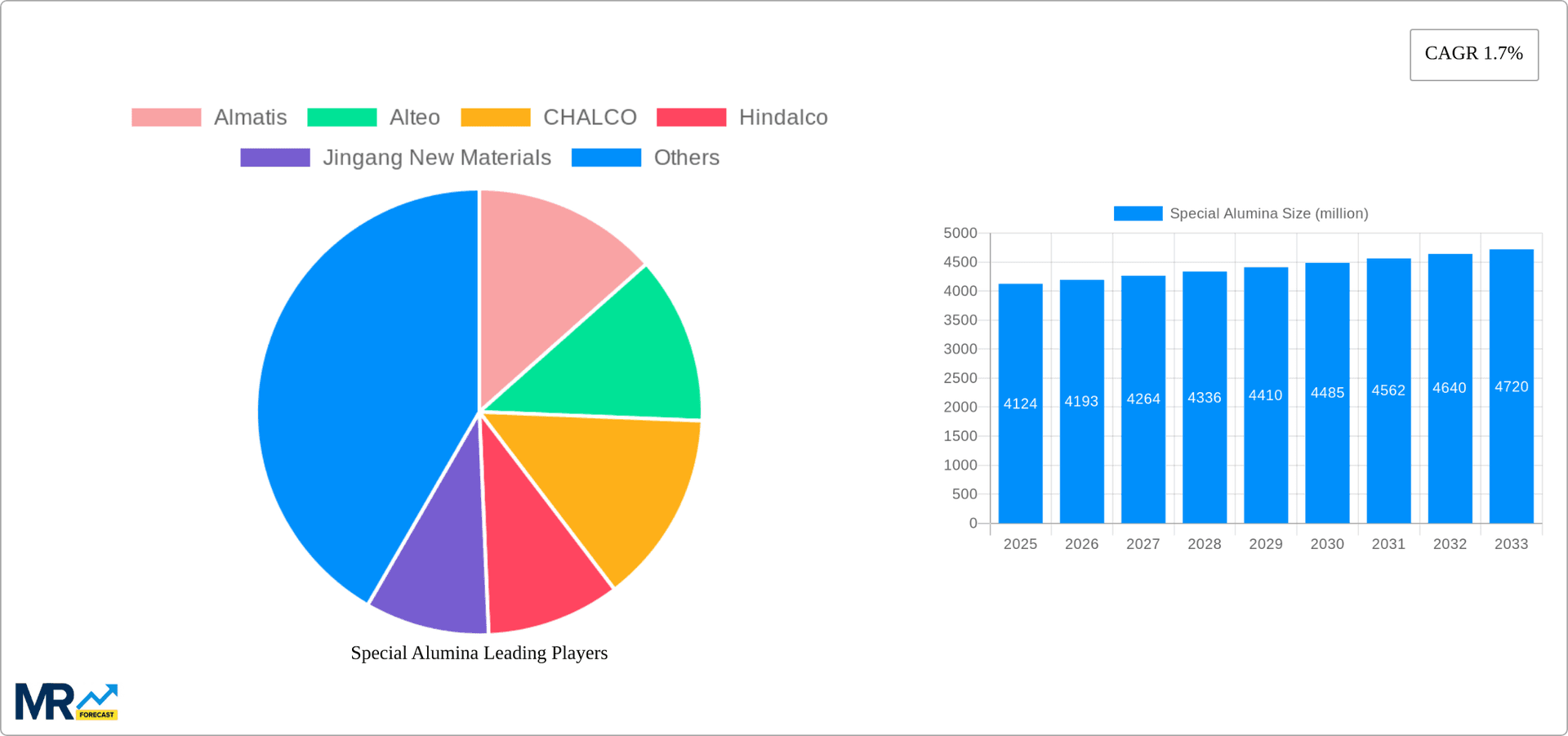 Special Alumina Research Report - Market Overview and Key Insights