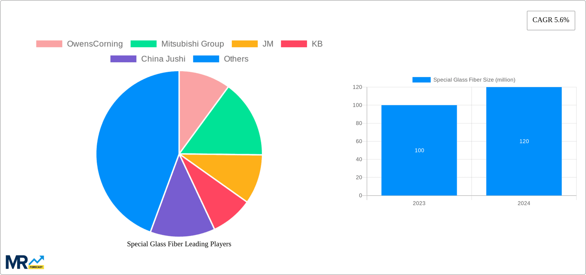 Special Glass Fiber Research Report - Market Overview and Key Insights