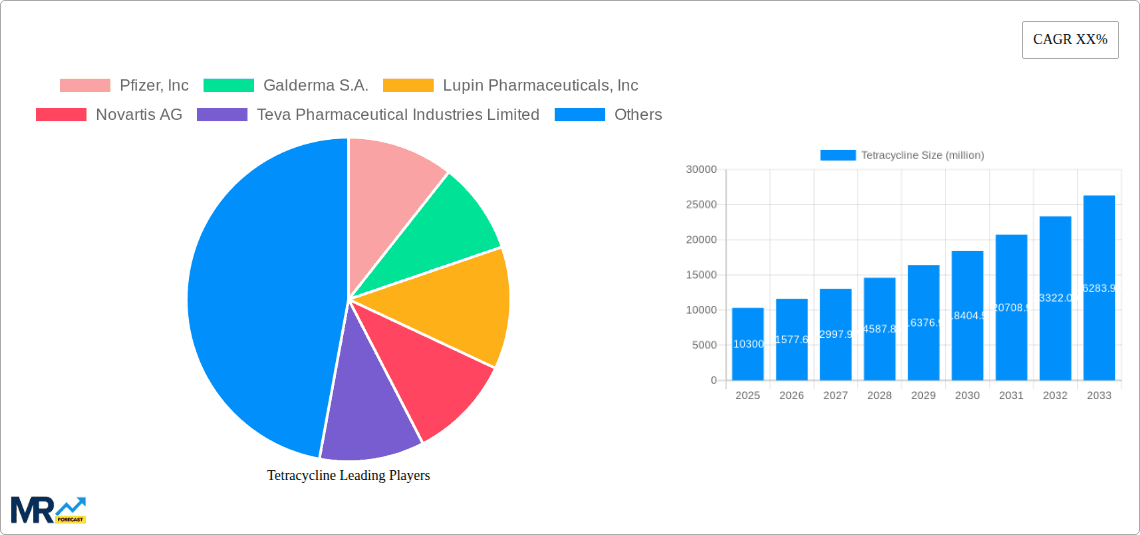 Tetracycline Research Report - Market Overview and Key Insights