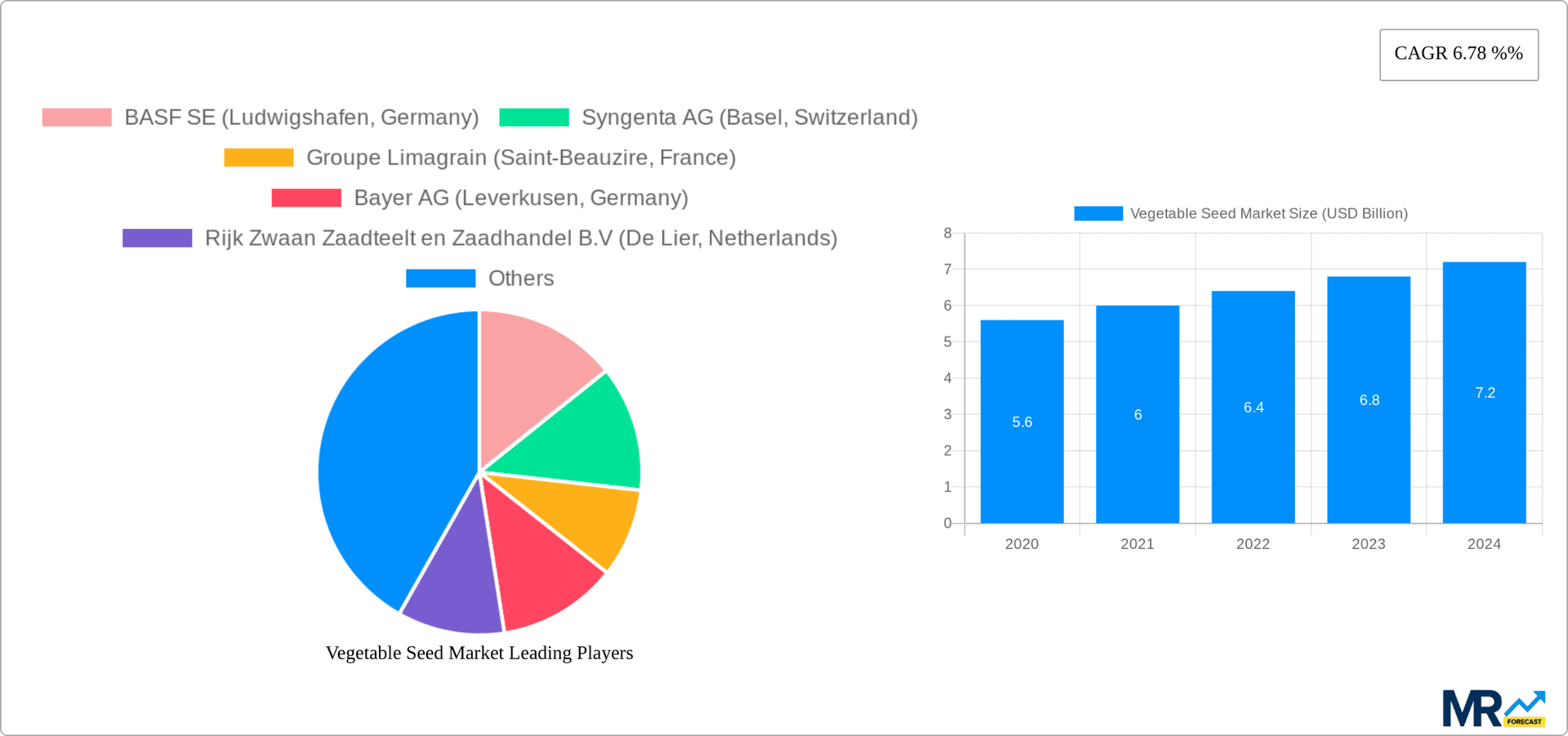 Vegetable Seed Market Research Report - Market Overview and Key Insights