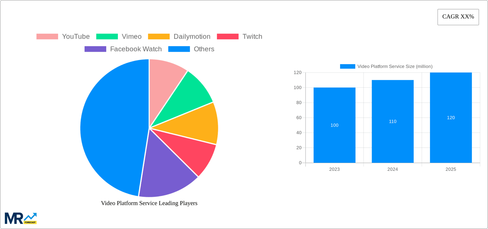 Video Platform Service Research Report - Market Overview and Key Insights