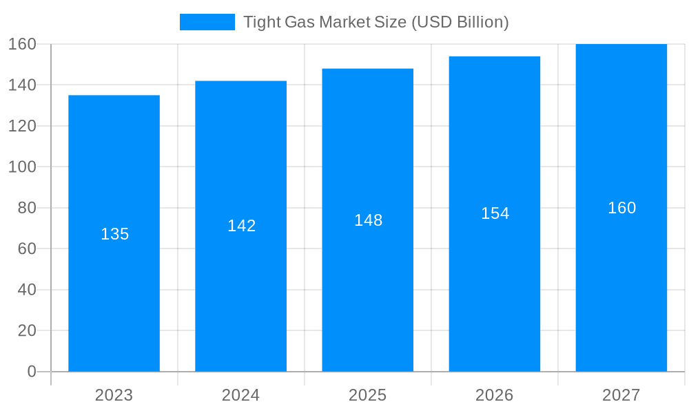 Tight Gas Market Market Size and Forecast (2024-2030)