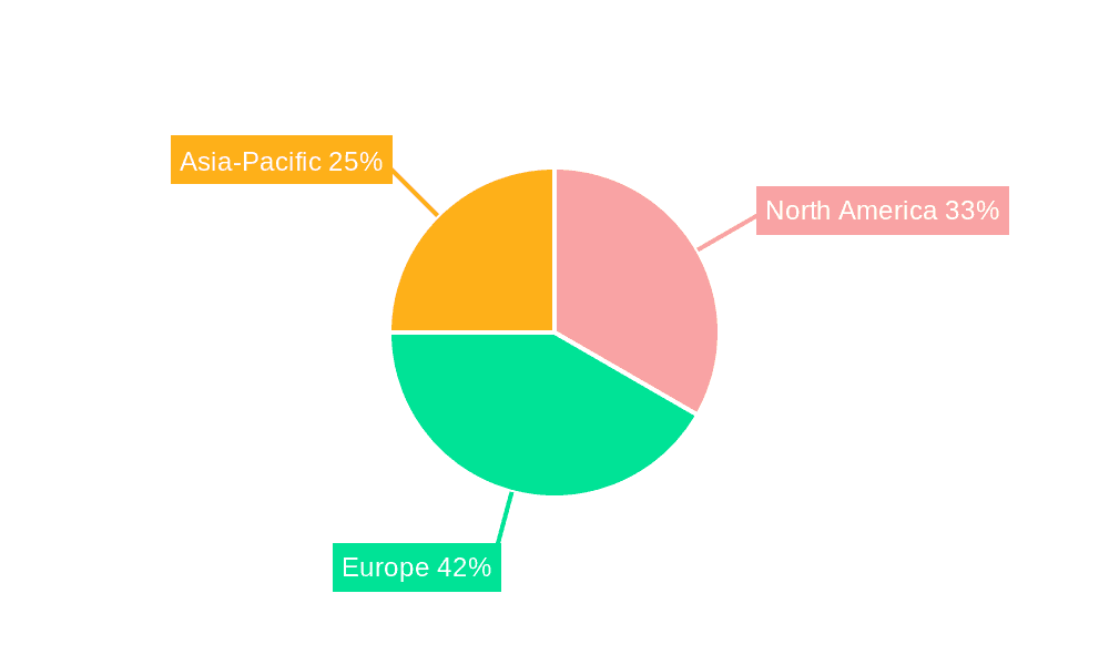 Cargo Bike Tire Market Market Share by Region - Global Geographic Distribution