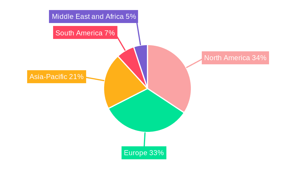Private Tutoring Market Market Share by Region - Global Geographic Distribution