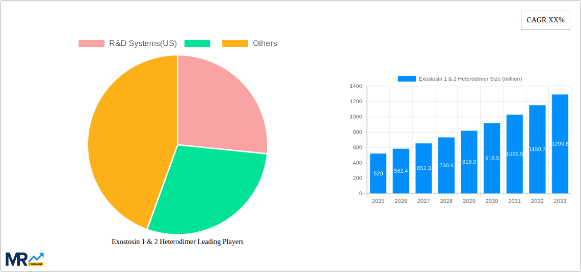 Exostosin 1 & 2 Heterodimer Research Report - Market Overview and Key Insights