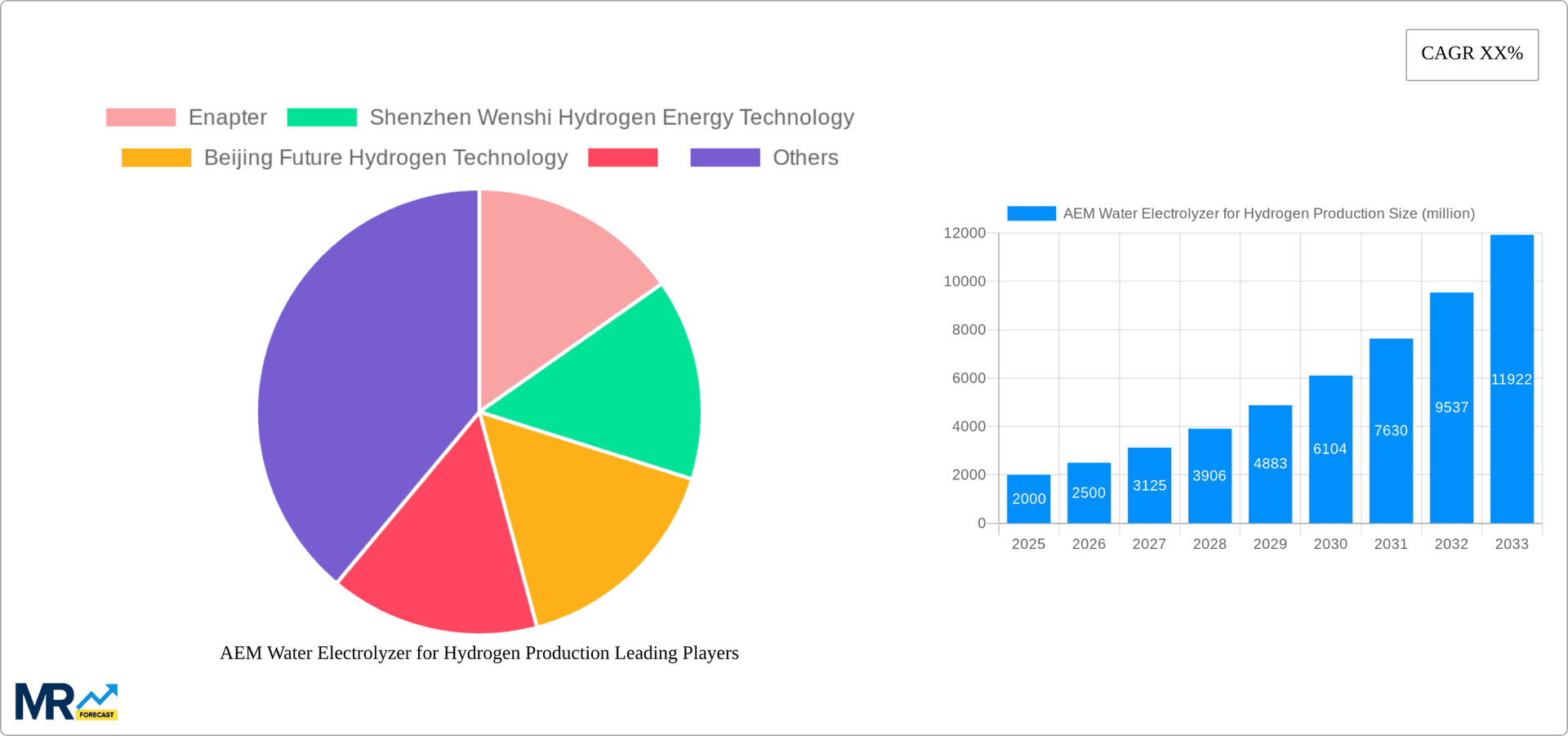 AEM Water Electrolyzer for Hydrogen Production Research Report - Market Overview and Key Insights