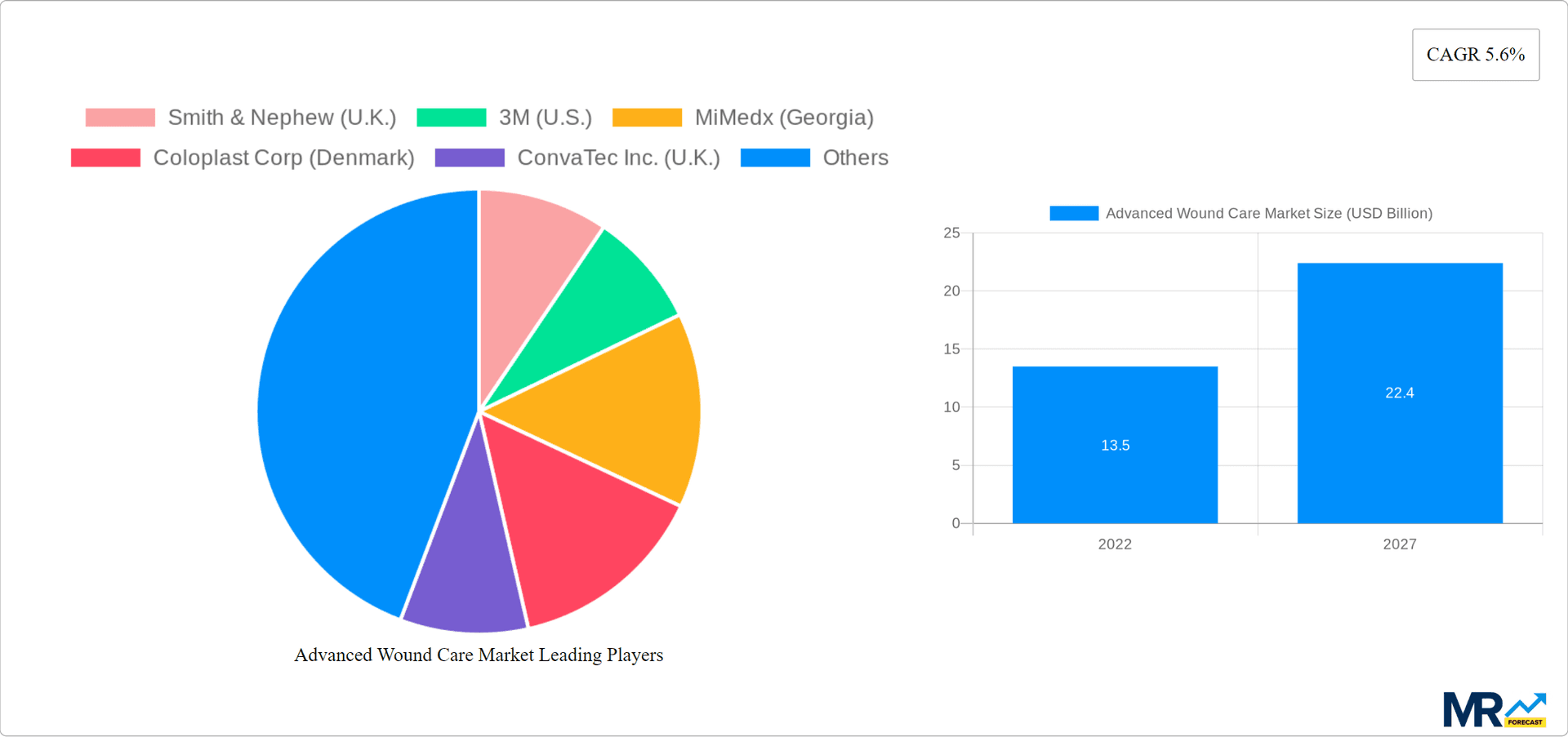 Advanced Wound Care Market Research Report - Market Overview and Key Insights