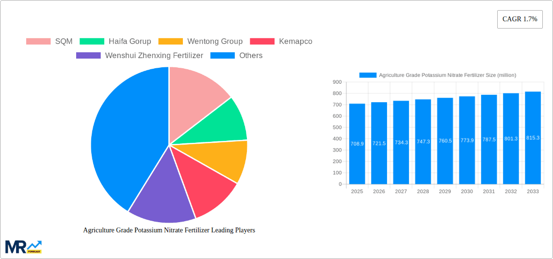 Agriculture Grade Potassium Nitrate Fertilizer Research Report - Market Overview and Key Insights